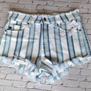 Women's Large Shorts NWT!
